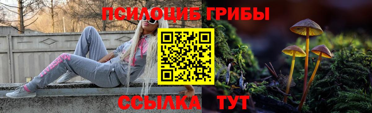 Псилоцибиновые грибы мухоморы  Псилоцибиновые грибы MAGIC MUSHROOMS  Кыштым  Вход с VPN 
